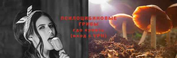 героин Алексин