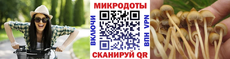 Галлюциногенные грибы Magic Shrooms  Пугачёв 